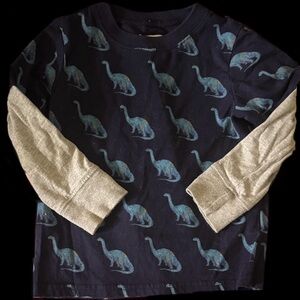 The Children's Place Blue Dinosaur Long Sleeve Shirt